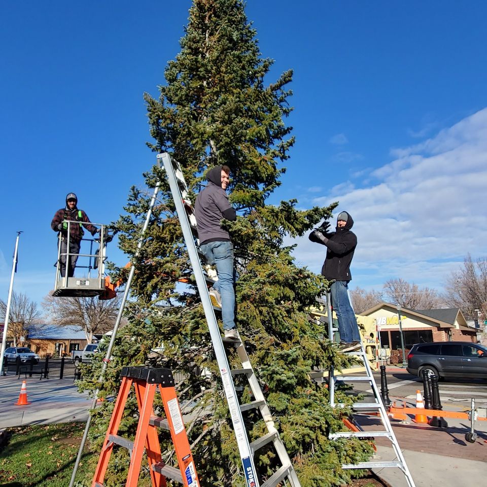 Hanging holiday lights in eagle id