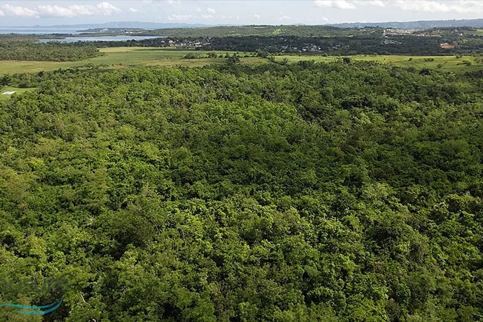 5a9f86bc3970697f1850e986f568d53b uncropped scaled within 1536 1152 2