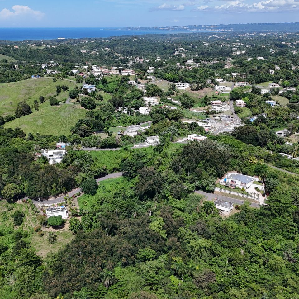 Dji 20251017133548 0898 d 2