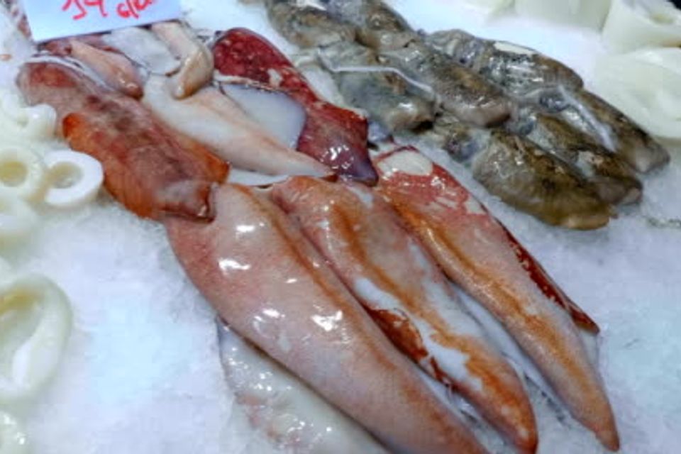 Squid 4k 5