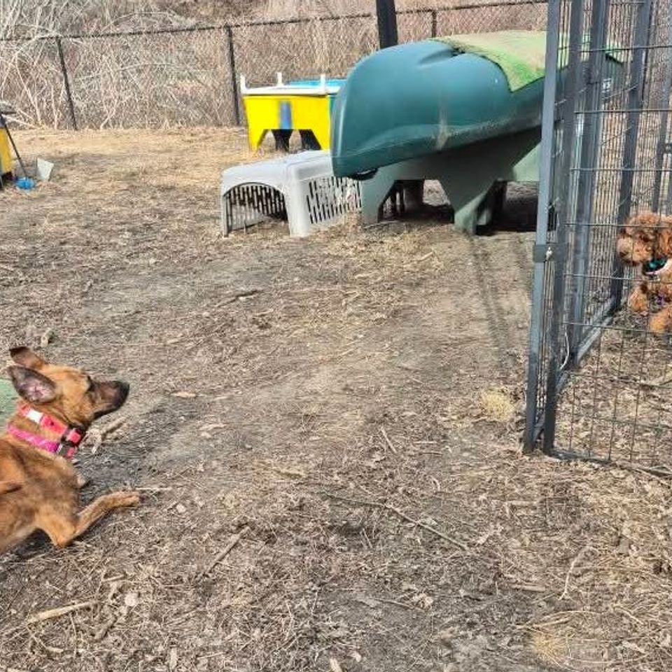 Fb img 1769435483930