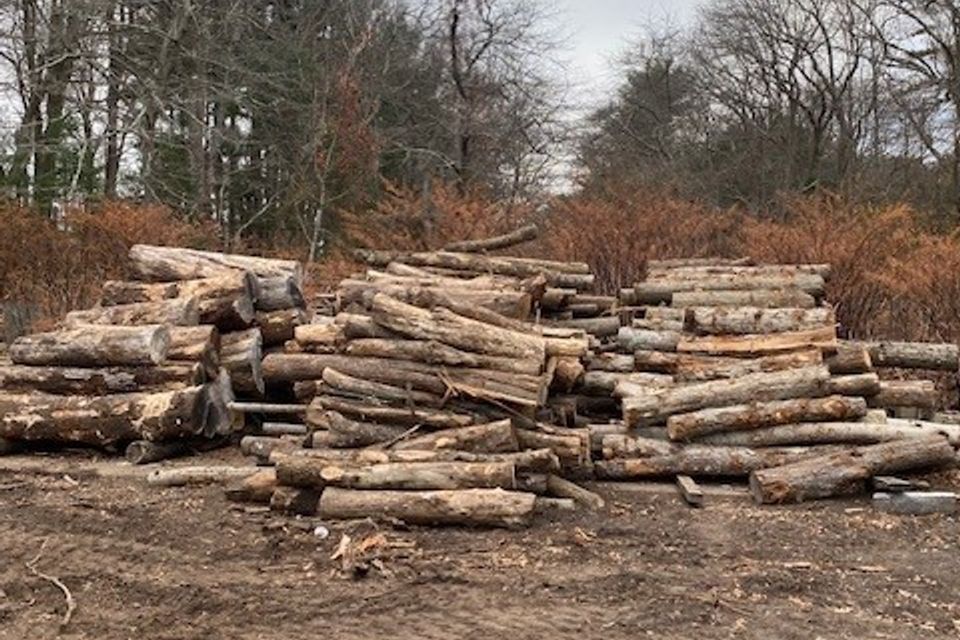 Logs