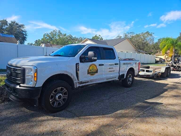 Sunset tree truck
