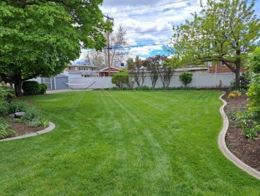 Beautifully maintained backyard in summer