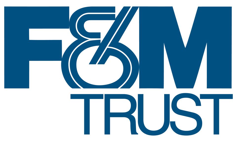 Fmtrust 295 xl 01
