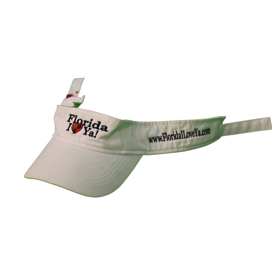 Fl visor 3