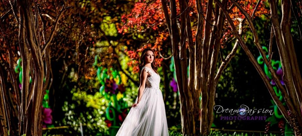 Princess in the forest 1