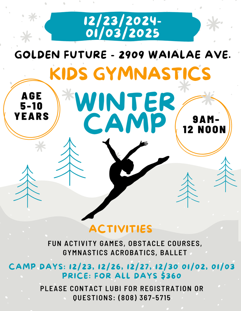 Wintercamp flyer