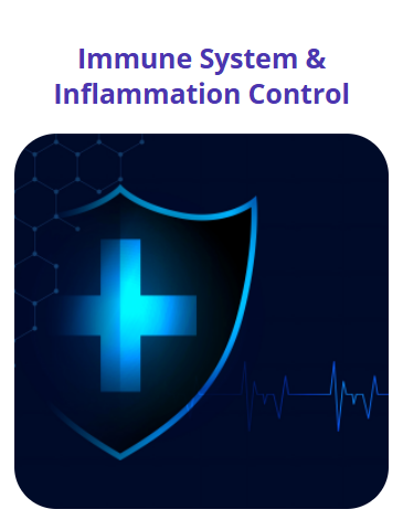 Screenshot 2026 02 22 173846