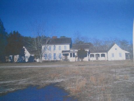 Back duck lodge 001