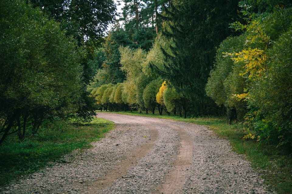 Alexander fastovets iq5y21pxzo0 unsplash