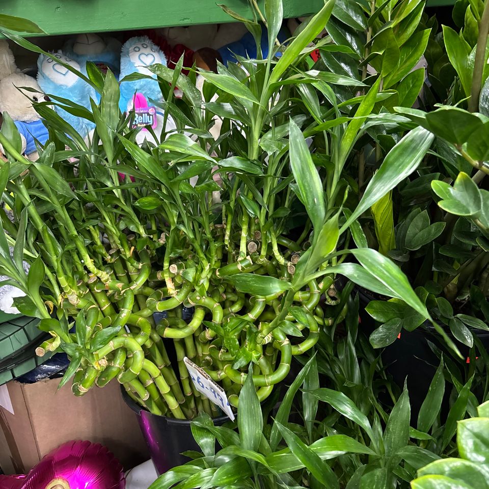 79832201664  edccc406 08b9 4c03 9b03 55d7cb86e5ad