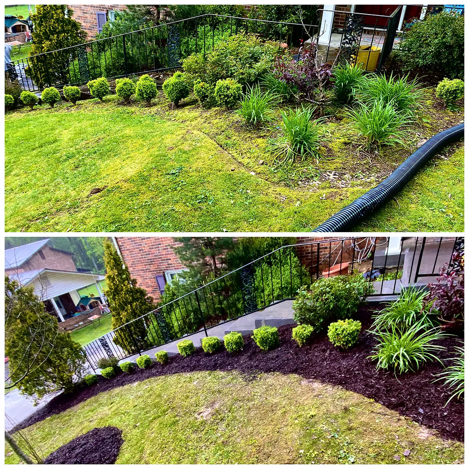 Mowing landscaping johnson city69