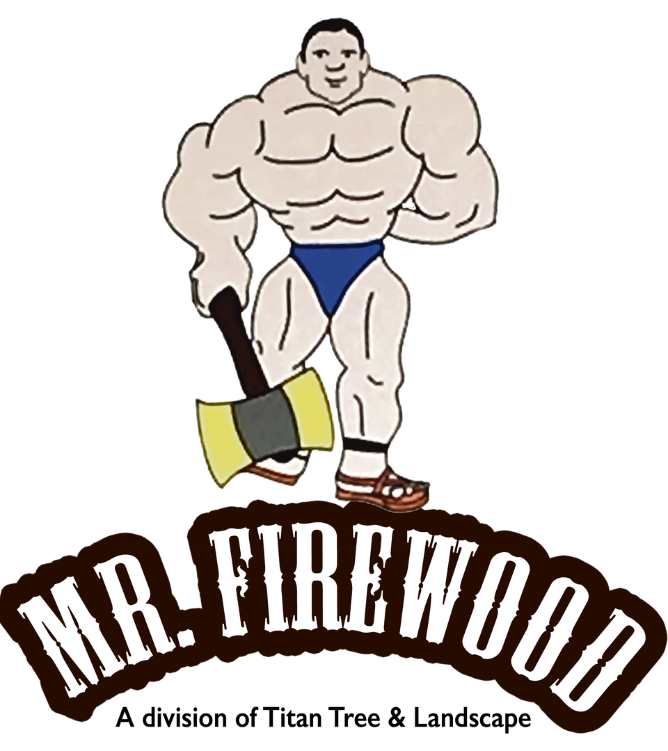 Mr firewood logo