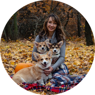 Welsh corgi pembroke g50b24bc91 1920 960x960 circle