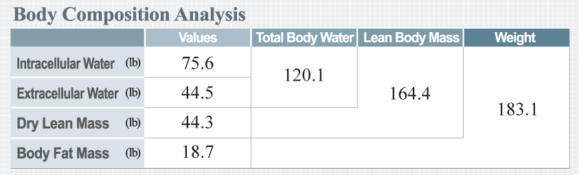 570 bodycomp101 1