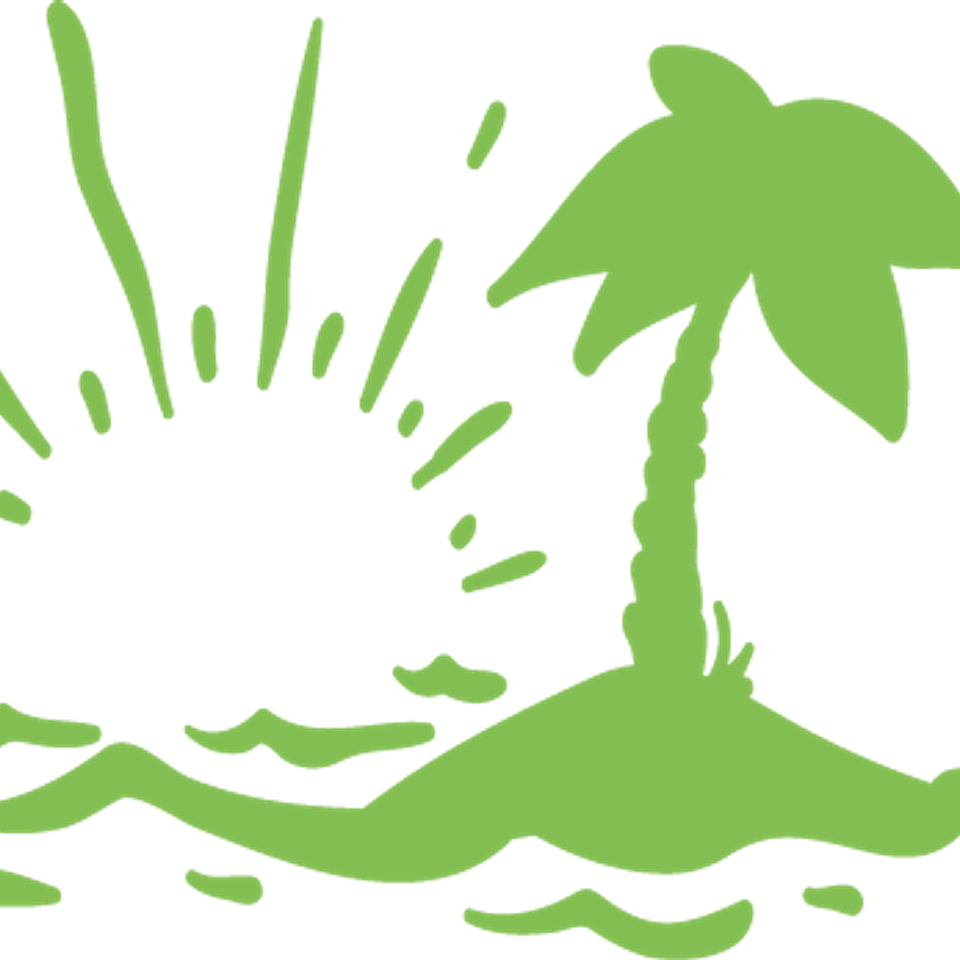 Beach   palm tree water and sunset green 2