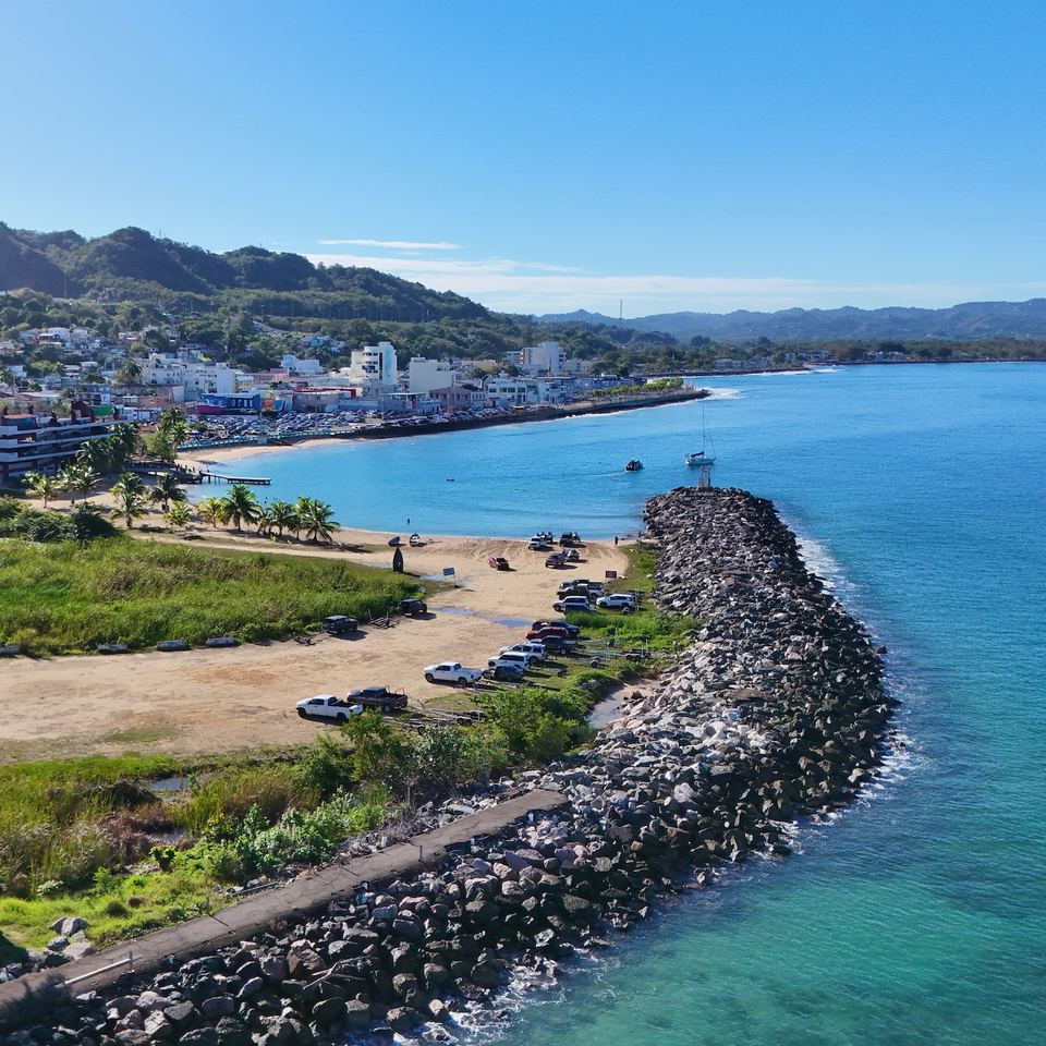 Screenshot 2026 02 03 at 10.58.25 am