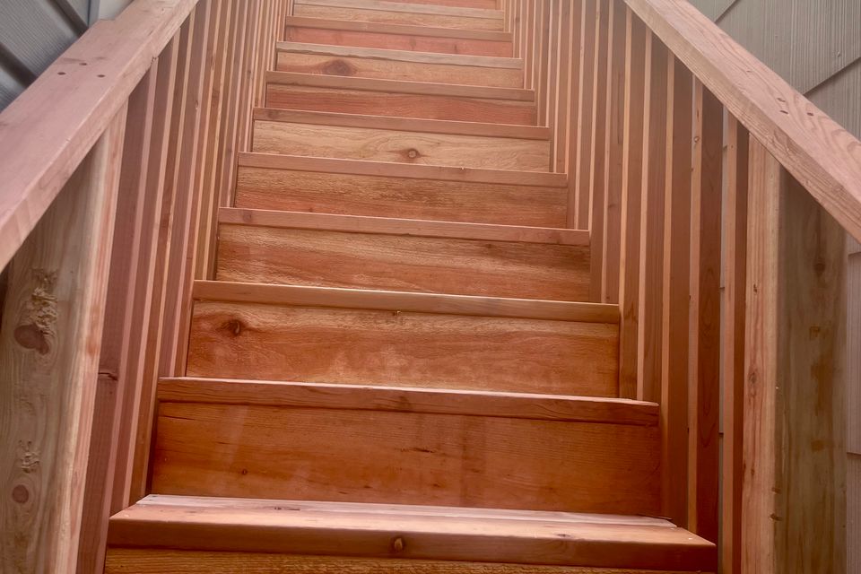 Img 3463
