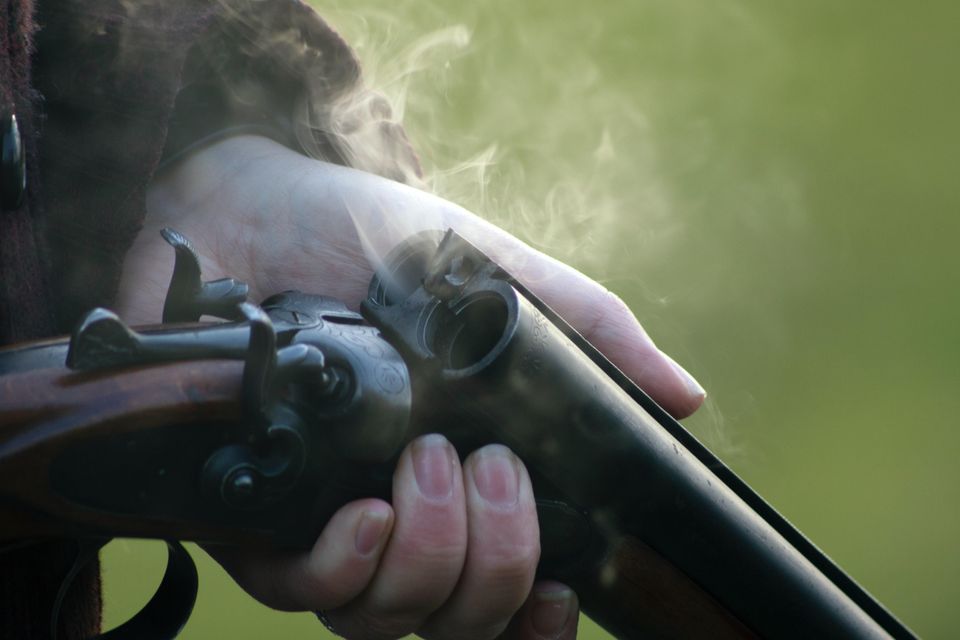 William isted wpeylo0enfs unsplash