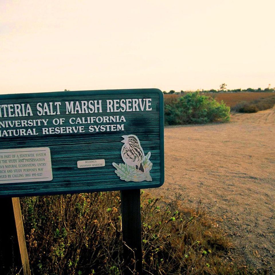 Carp marsh reserve signage20121203 1864 1jr4u5i 0