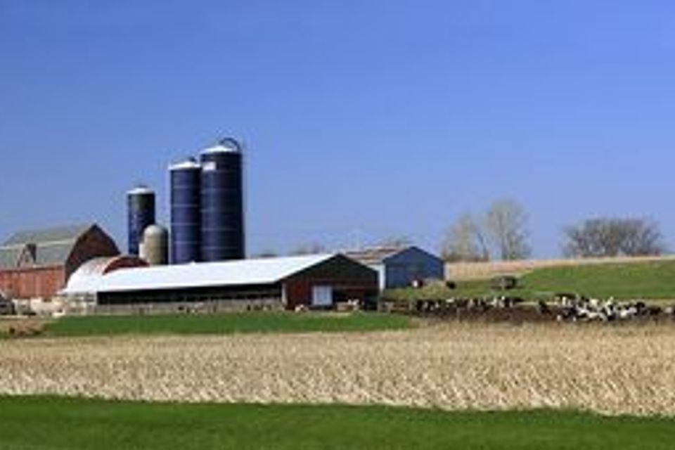 Bigstock midwest dairy farm 3012513 1 300x170