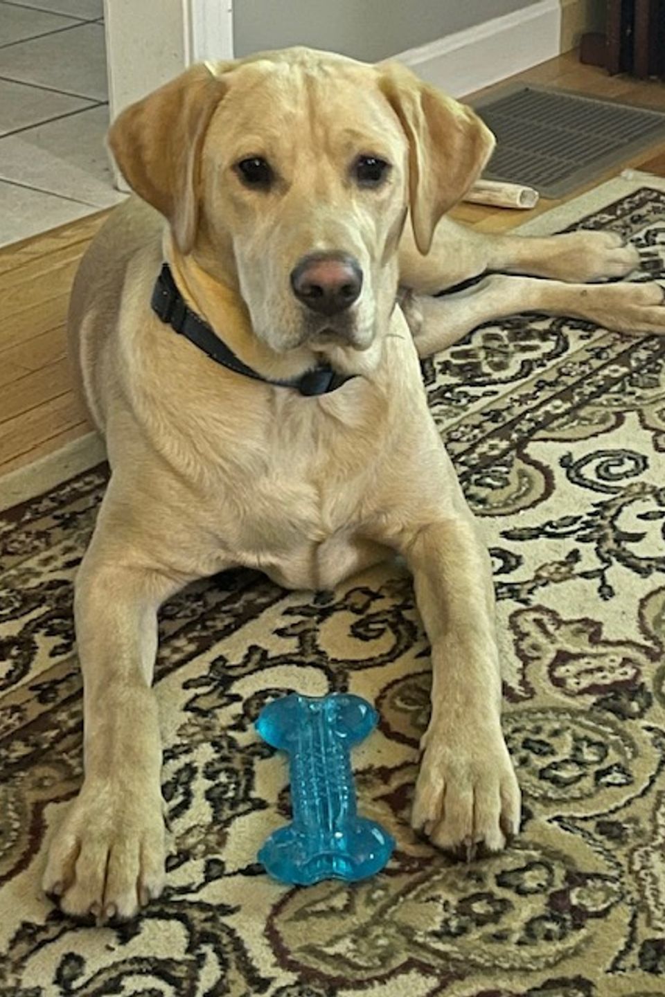 Tucker