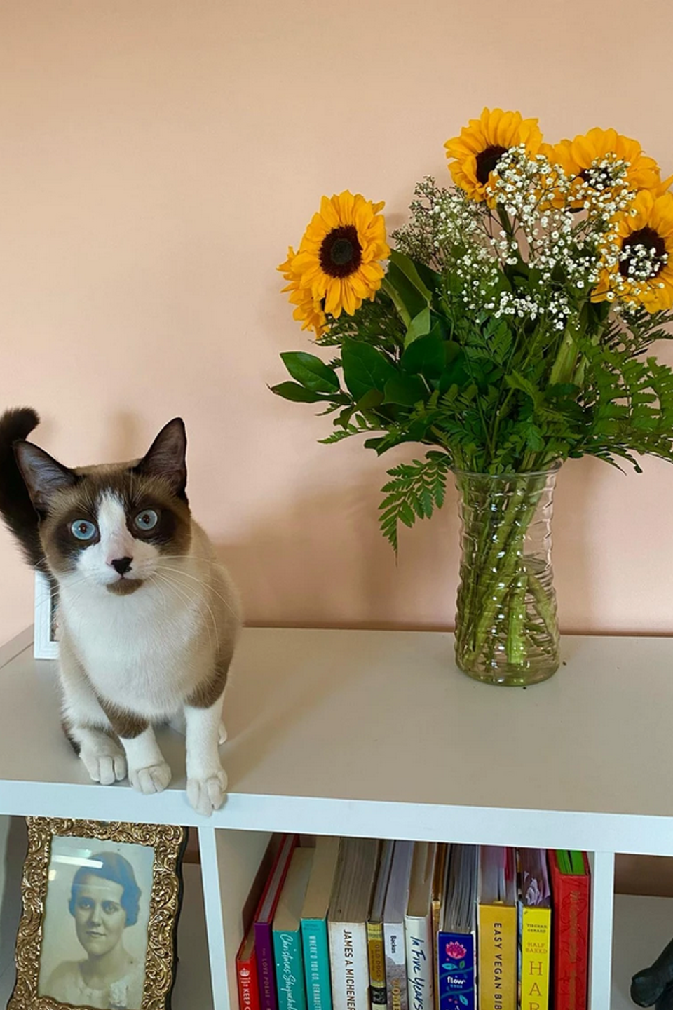 Screenshot 2026 02 26 at 14 42 51 interior  color brushes with flair