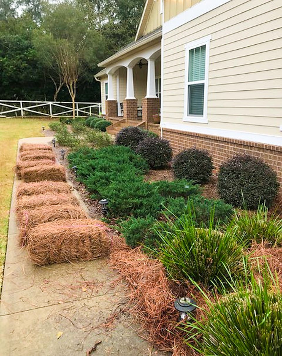 Pine straw and mulch installation 2
