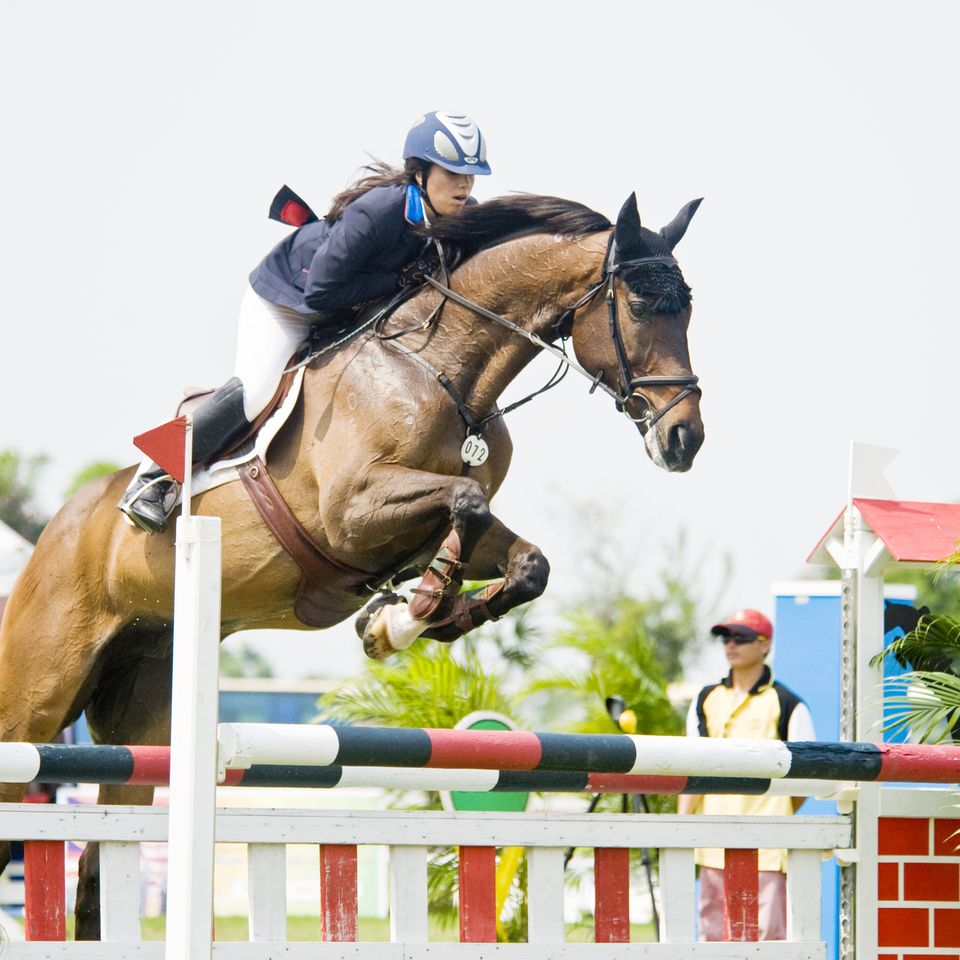 Equestrian Show Jumping