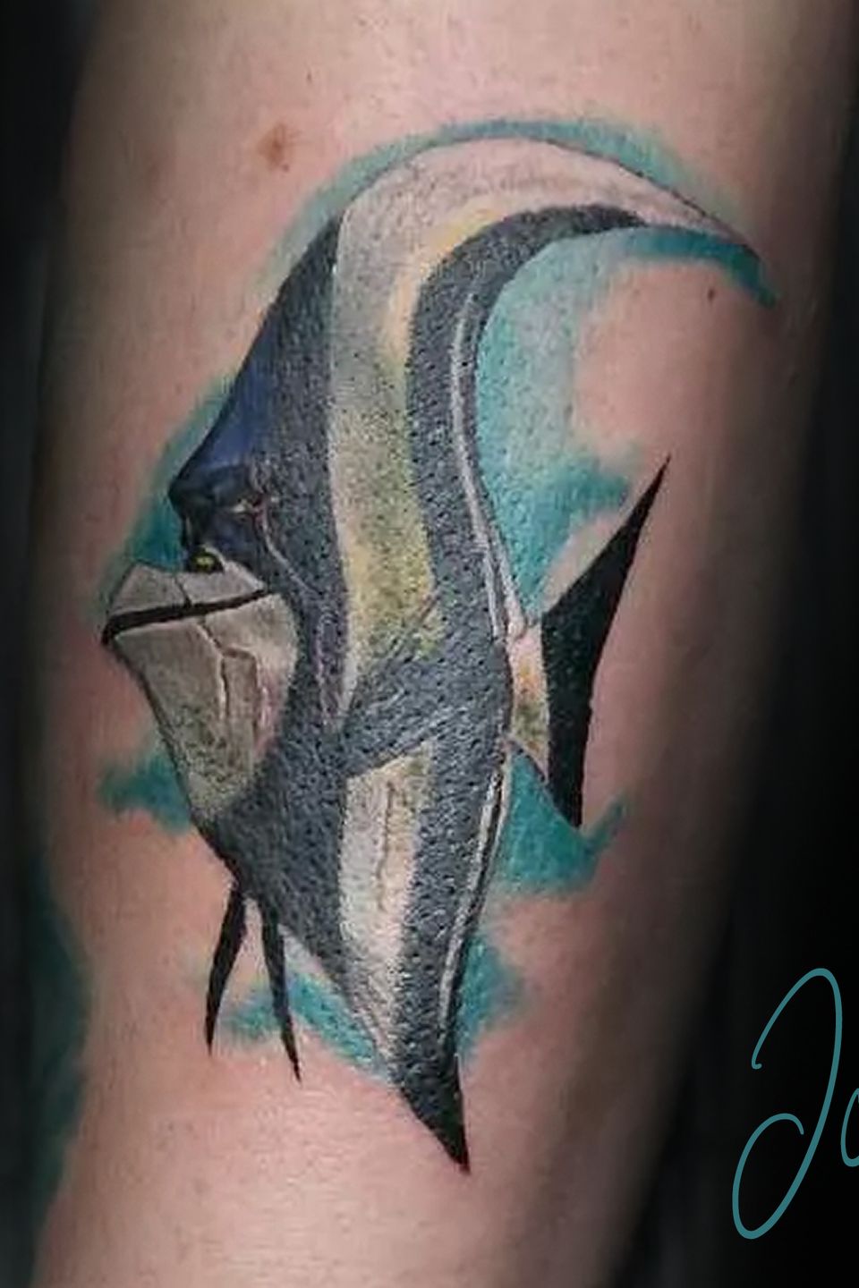 Joey fish