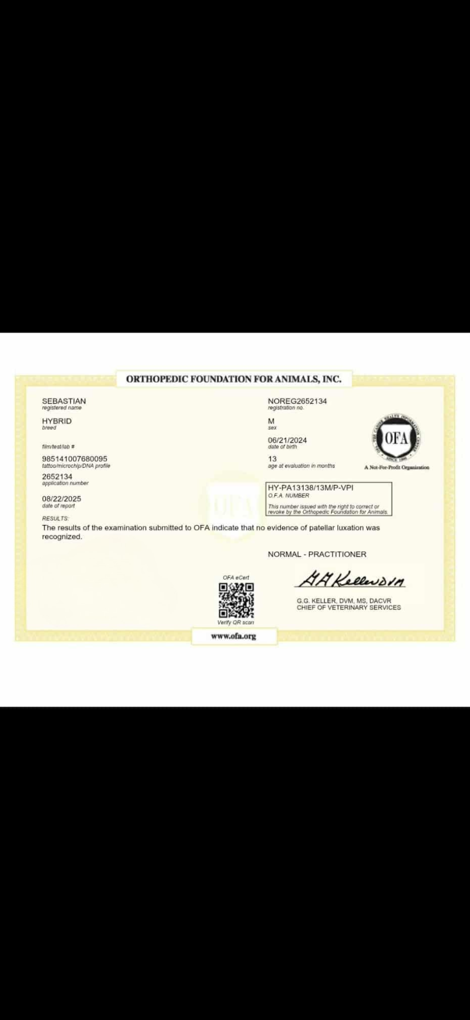 1000033481