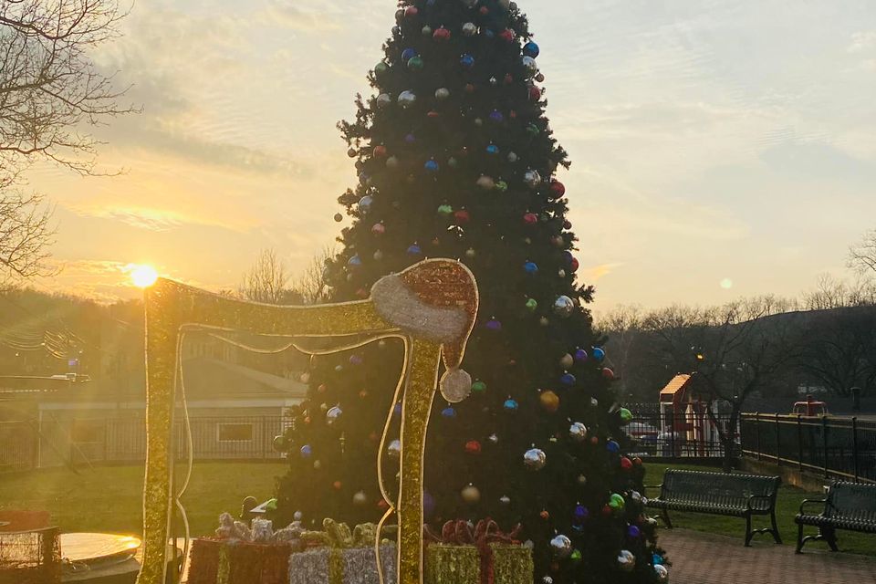 Bridgeport west va christmas tree