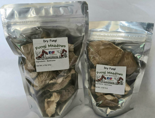 Dry Fungi from Fungi Meadows in Logansport, IN