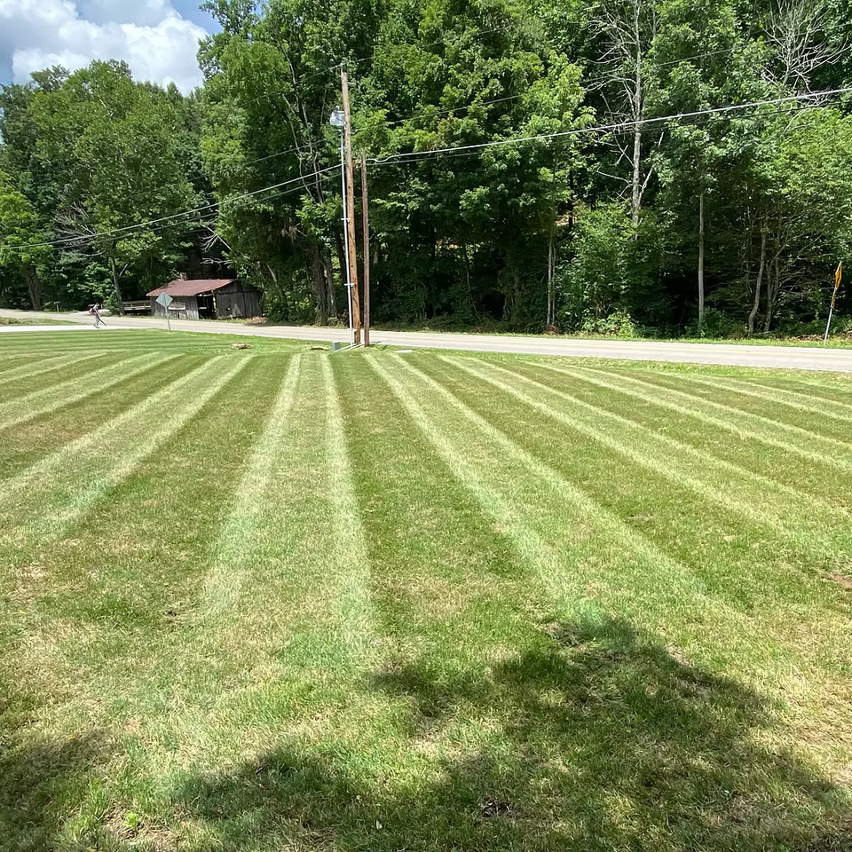 Mowing landscaping johnson city50