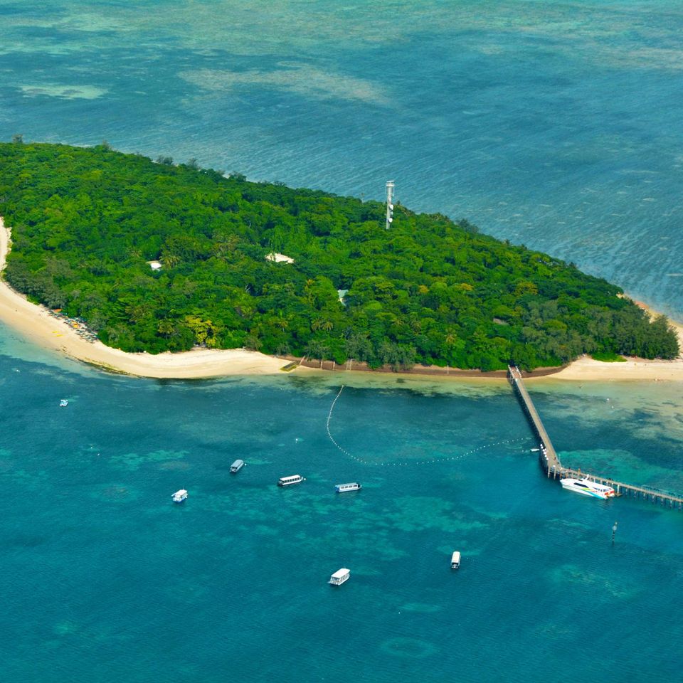Great barrier reef