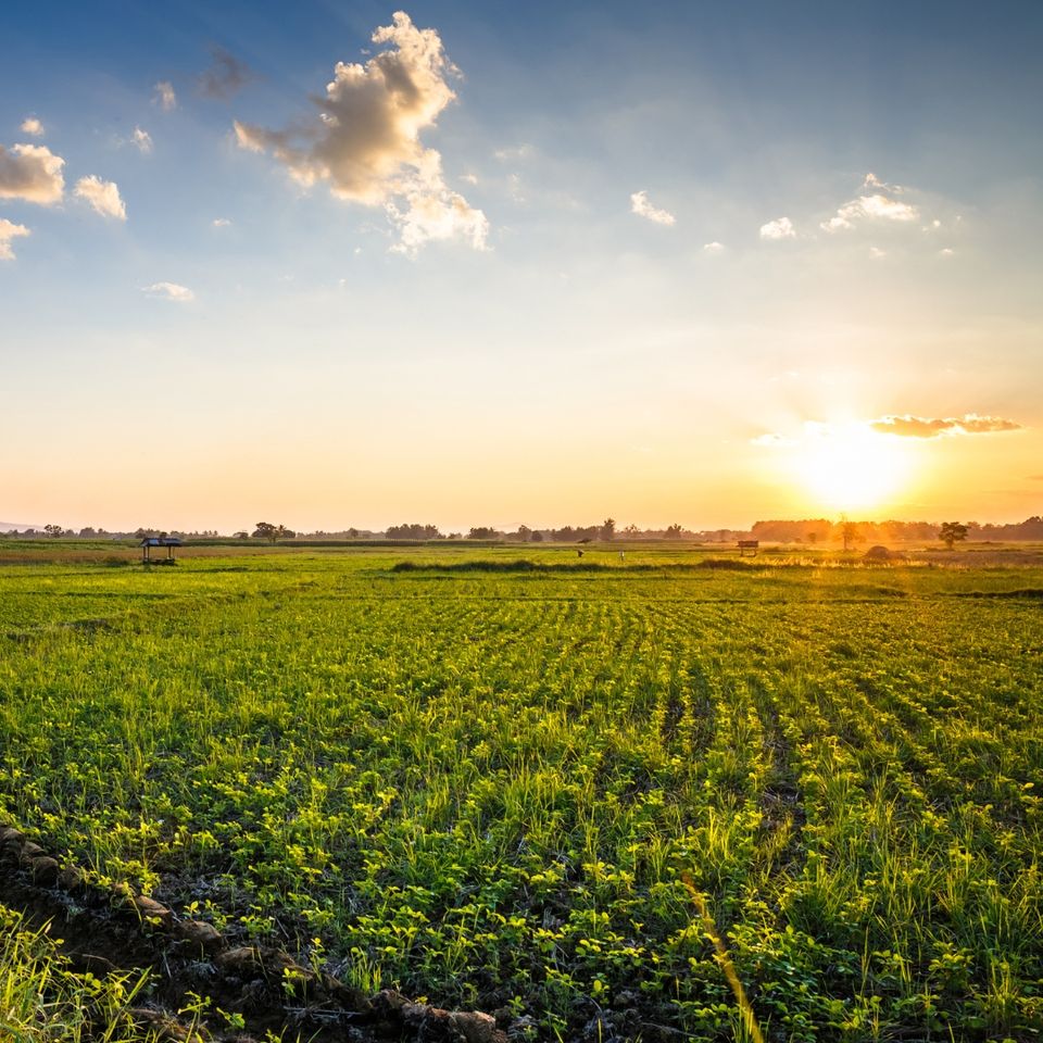 Blog cover images   ag tech (2)