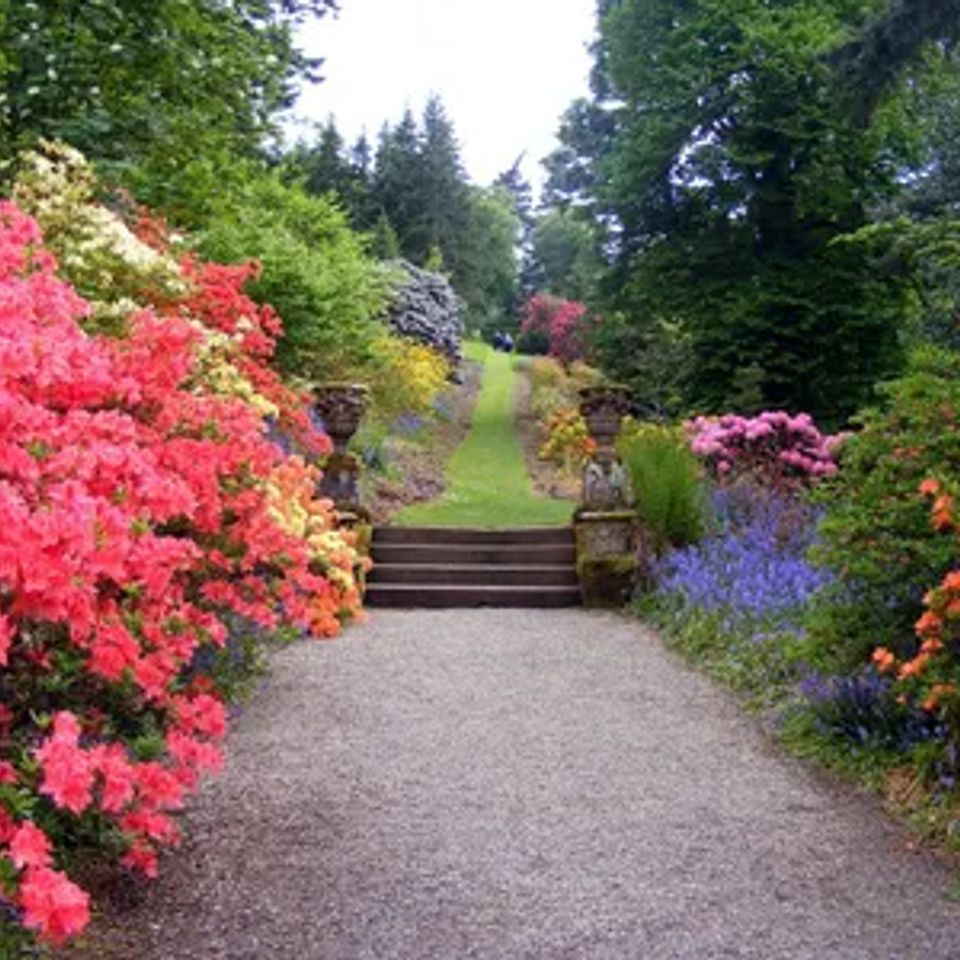 Landscape design20170408 1485 1o6419w original