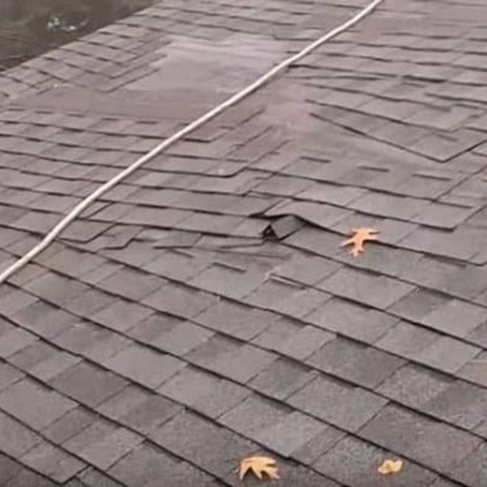 Damaged roof repair q8o3lrt5s7h8prokb1rr4oaawqmv7zp95jnkg8mjs0