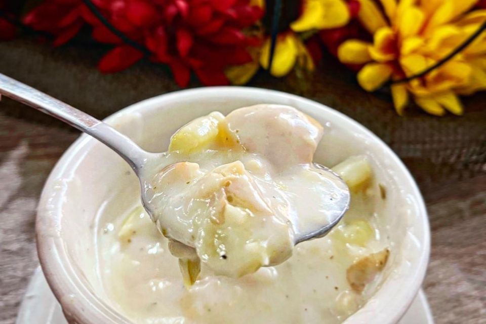 White clam chowder