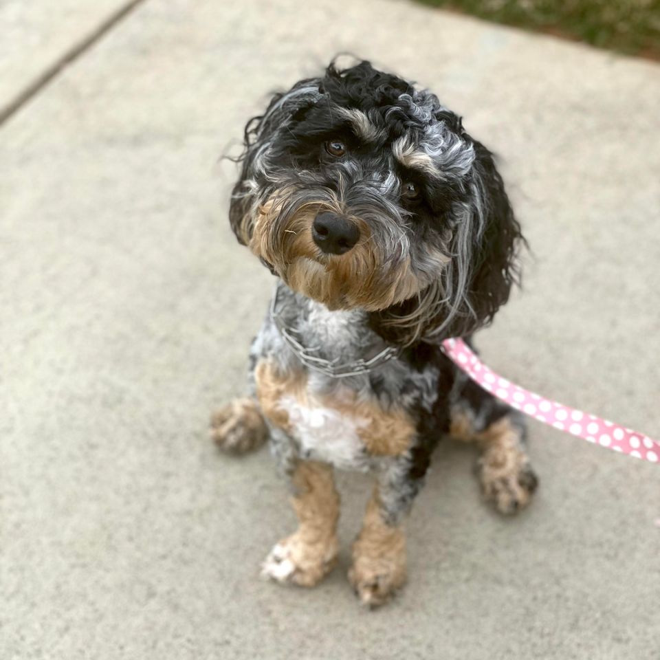Winnie