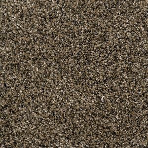 Bb004 spice trade