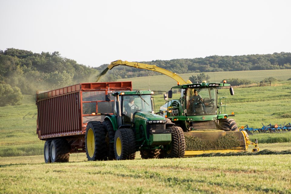 Haycrop august2024 15
