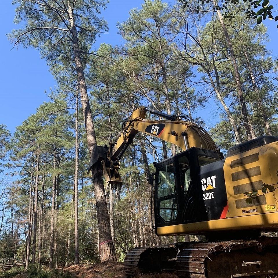 Tree removal