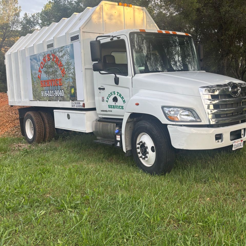 tree service truck placer county lyons tree service 