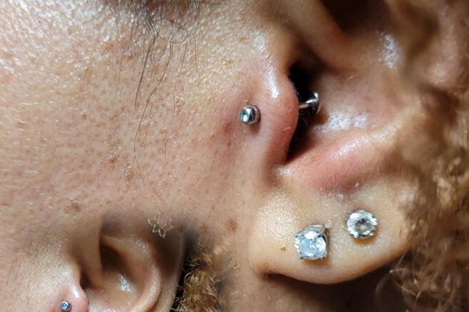 Barbz tragus 