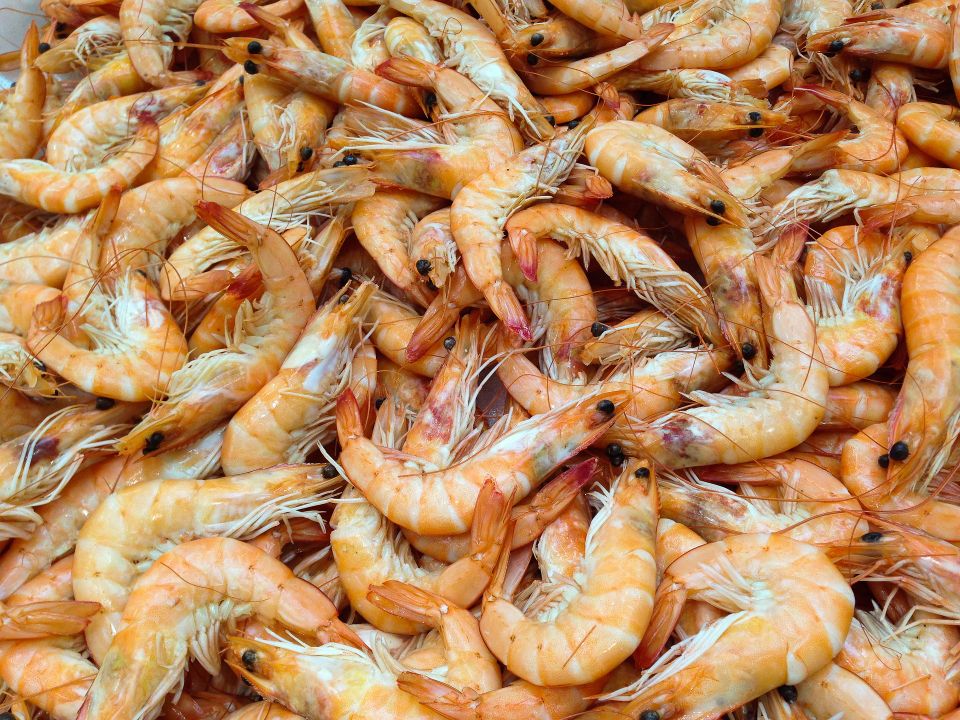Shrimp g4feafe4a6 1920