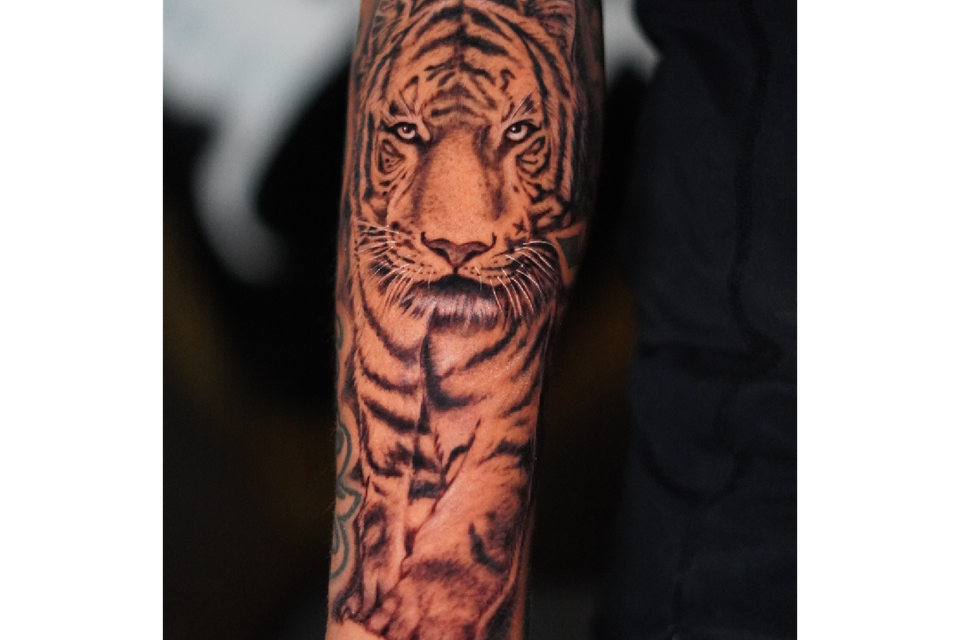 Image of a tiger tattoo on the forearm in stalking mode as if hunting prey
