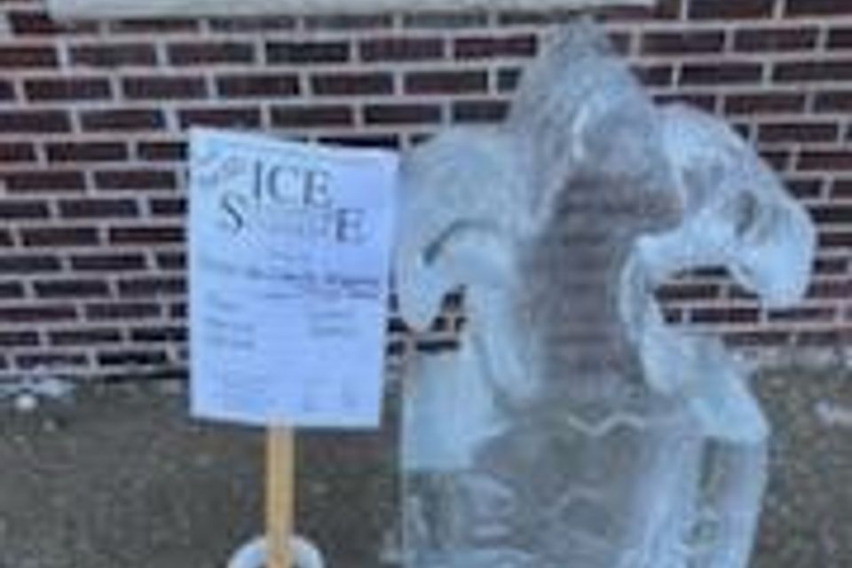 Ice sculpting 2023 31