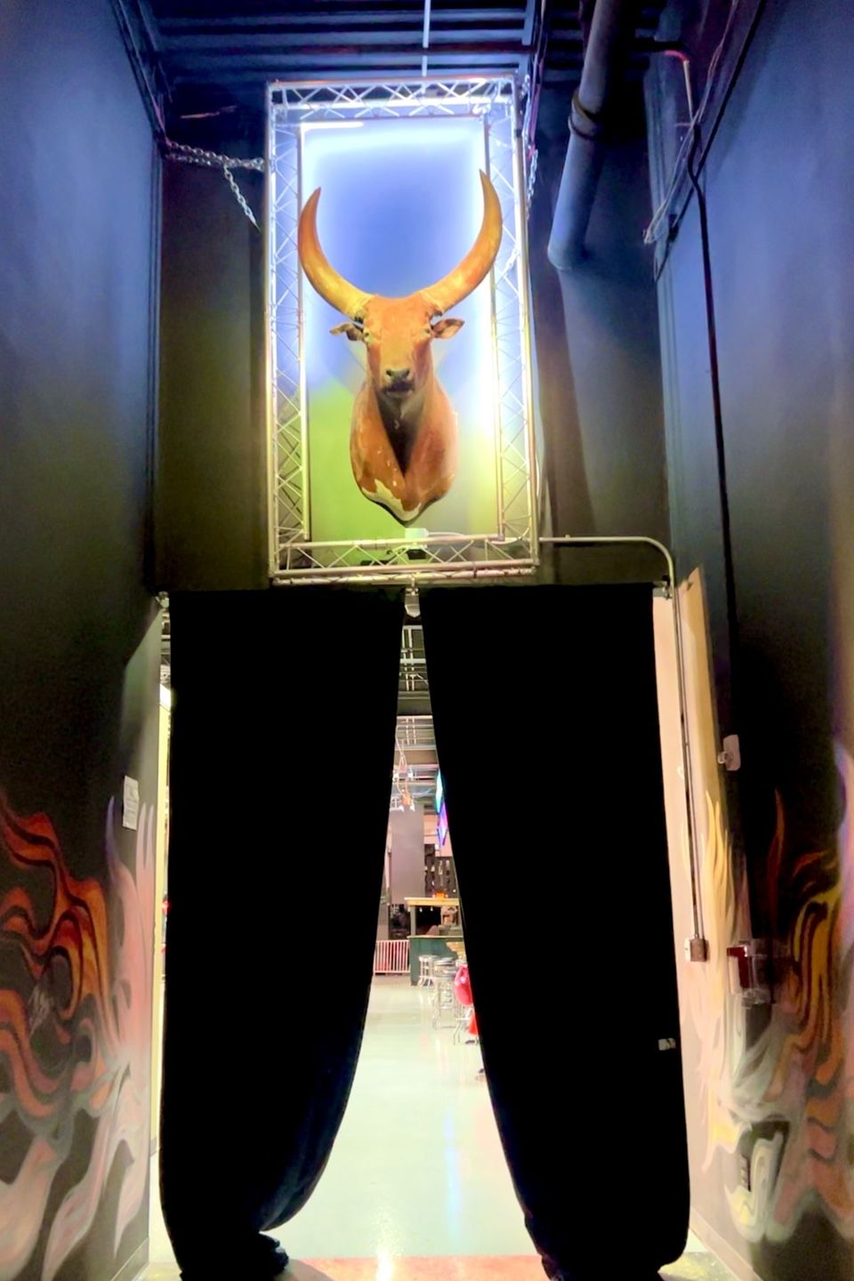 Front enterance toro